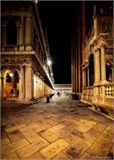 VENICE21 (38)